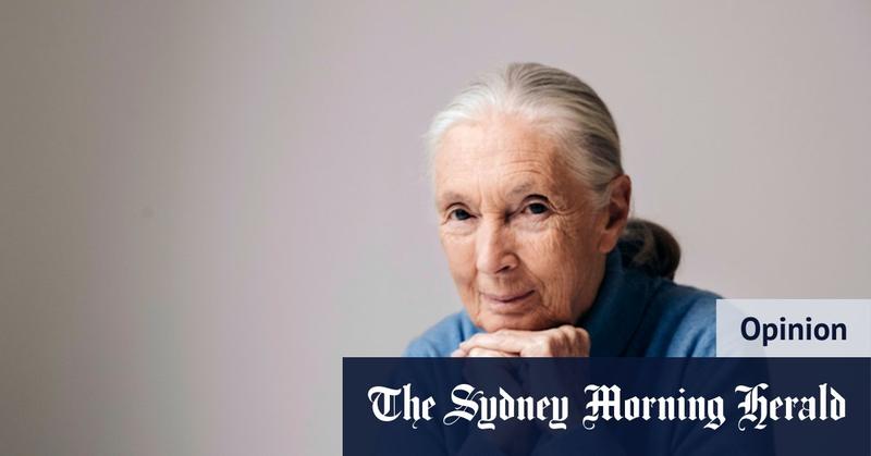 I worked with Jane Goodall. She had the energy of a stalking lion