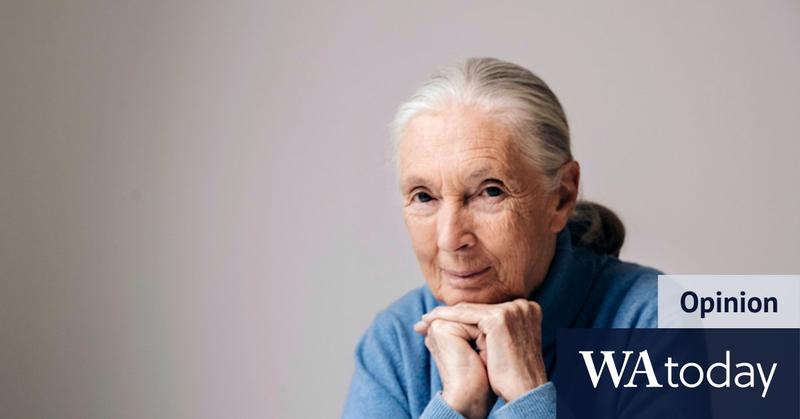 I worked with Jane Goodall. She had the energy of a stalking lion