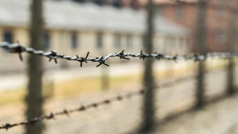 Entre Auschwitz e Gaza a promessa do “nunca mais” foi quebrada, por Washington Araújo