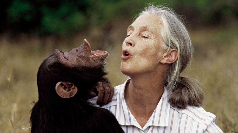 Jane Goodall’s Final, Urgent, Message