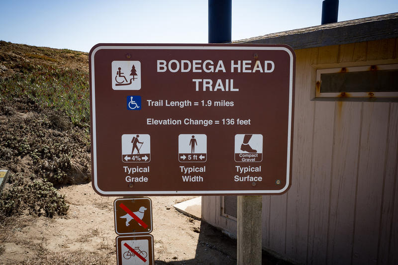Search underway for Bay Area woman who went missing on popular trail