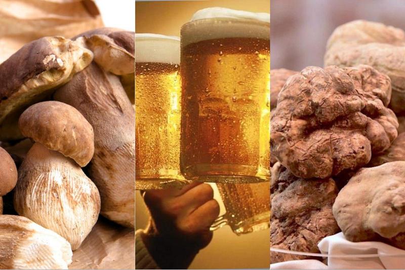 Marche tra tartufo, birra a fiumi e funghi: gli eventi del weekend dal 3 al 5 ottobre