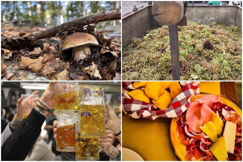 Le 10 sagre più gustose in Emilia Romagna per un weekend speciale con i sapori d'autunno