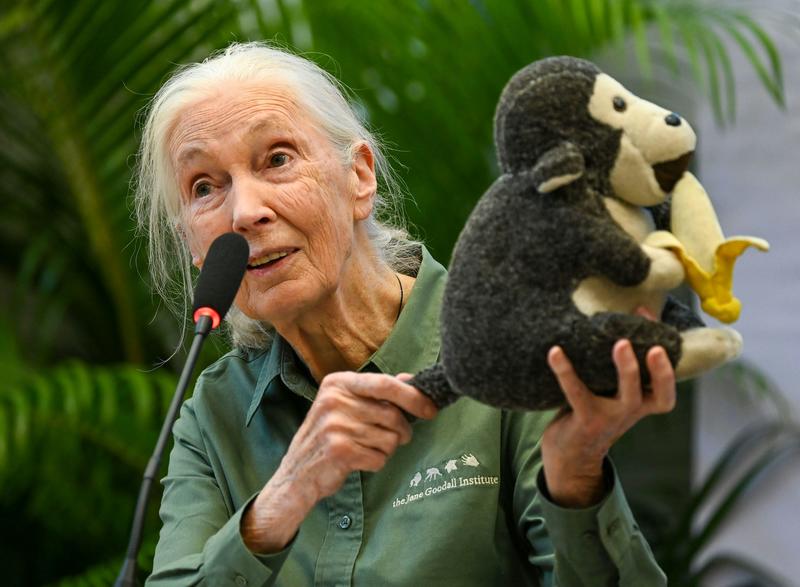 Why we need more Jane Goodalls