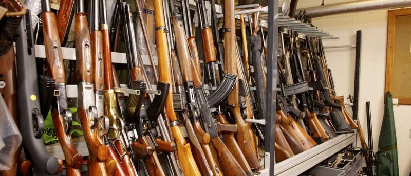 JP PICHARDO: America Supports Trump’s Pro-Gun Agenda, New Poll Shows