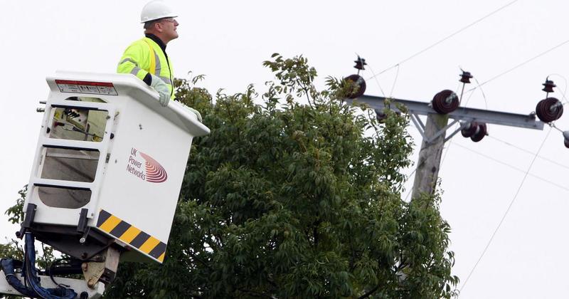 1,800 homes without power as high winds batter Norfolk