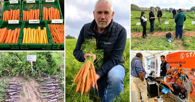 The future is orange - farmers explore cutting-edge carrot tech and research