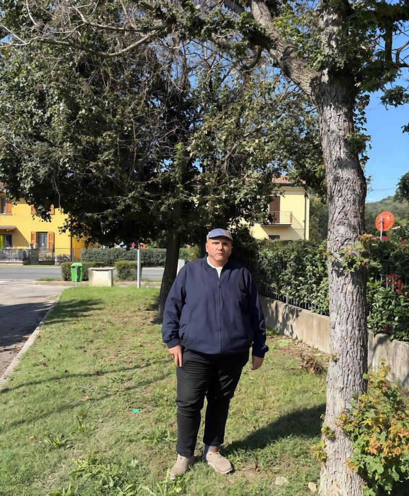 Alberi avvelenati, caccia al killer del verde