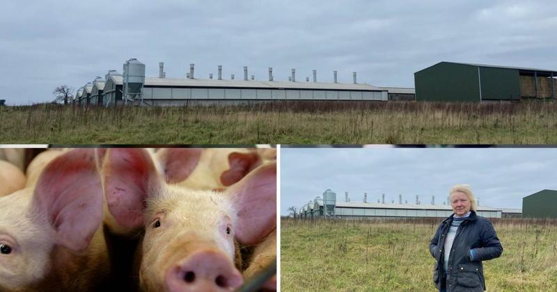 Locals fear they will be made 'sacrificial village' for industrial farming