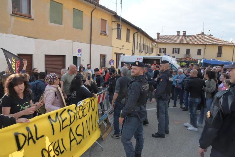 “No alla corsa degli asini”: animalisti in presidio a Bereguardo contro la tradizione (che esiste dal 1926)