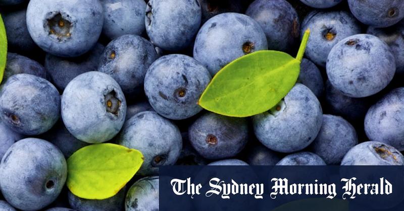 Australians are eating more blueberries than ever. Consumers deserve better protection