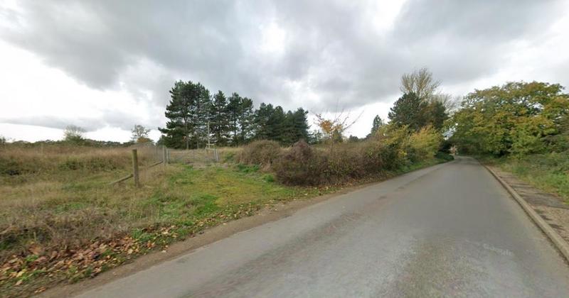 New 'self-build' homes on edge of village can go ahead despite objections