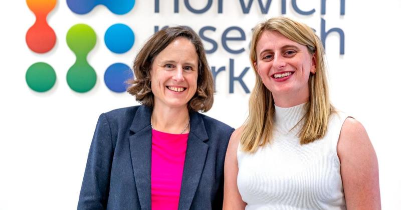 Norwich scientists working to save crops from ravaging insects