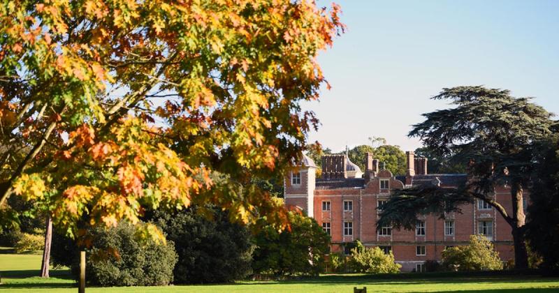The best autumn walks in Norfolk revealed