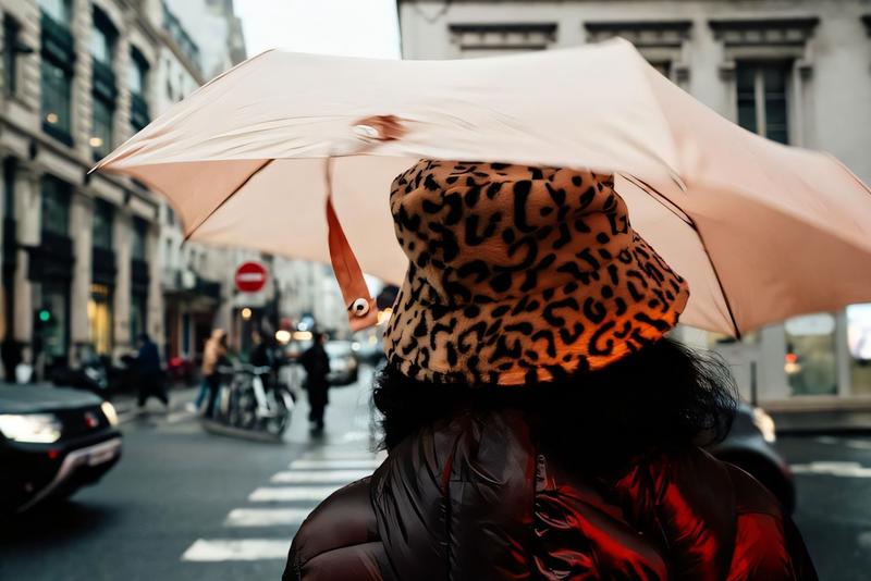 Wilde Tiere in Berlin: Python-Leggings und Leo-Mantel fallen in unsere Stadt ein