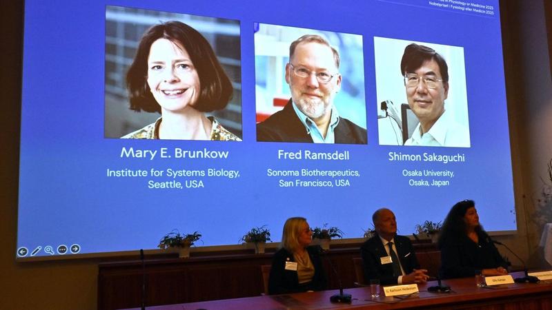 El Nobel de Medicina 2025 premia a los científicos que descubrieron los 