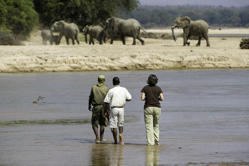 In Zambia, a Remote Walking Safari Delivers Adventure Without Digital Distraction