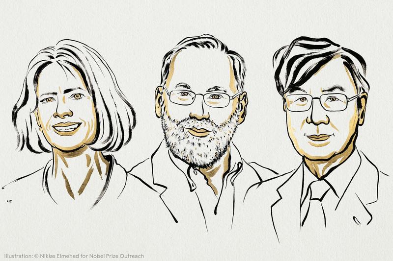 Nobel prize awarded for discovery of immune system’s ‘security guards’