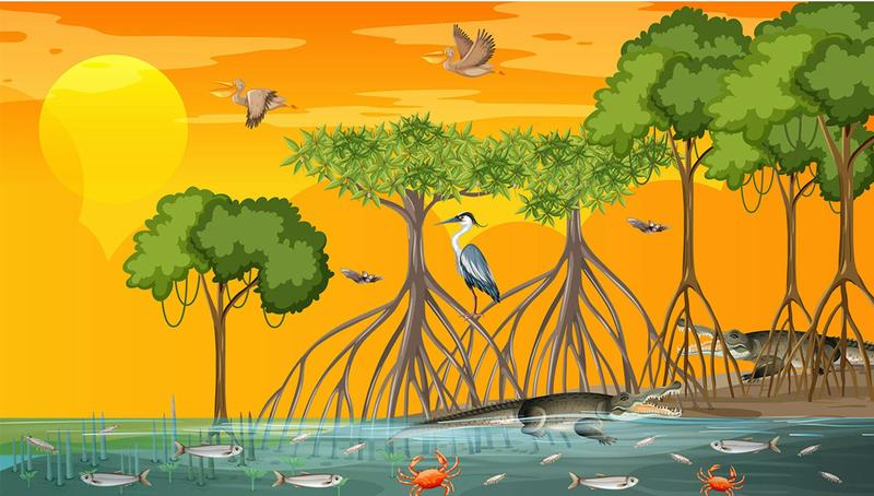 Compensación con carbono azul: ¿el nuevo oro de la mitigación climática o una moda pasajera?