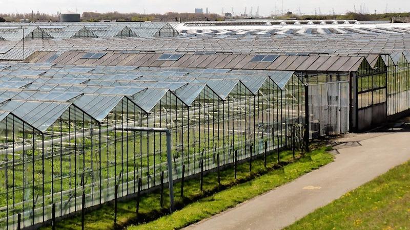 Together, Power Plants And Greenhouses Can Feed Humanity – OpEd