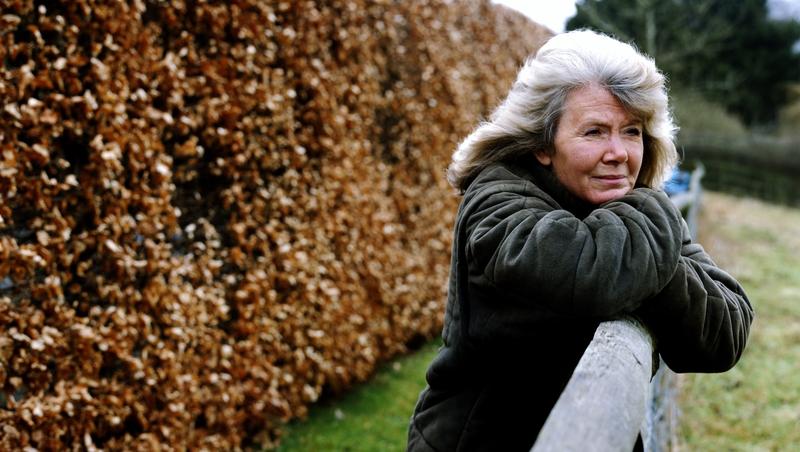 Horseplay /					 													 						Jilly Cooper and the art of not taking life too seriously