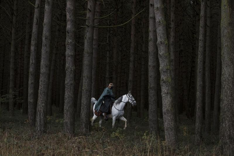 Rooted /					 													 						In the forests of Germany’s soul Rooted /					 													 						In the forests of Germany’s soul