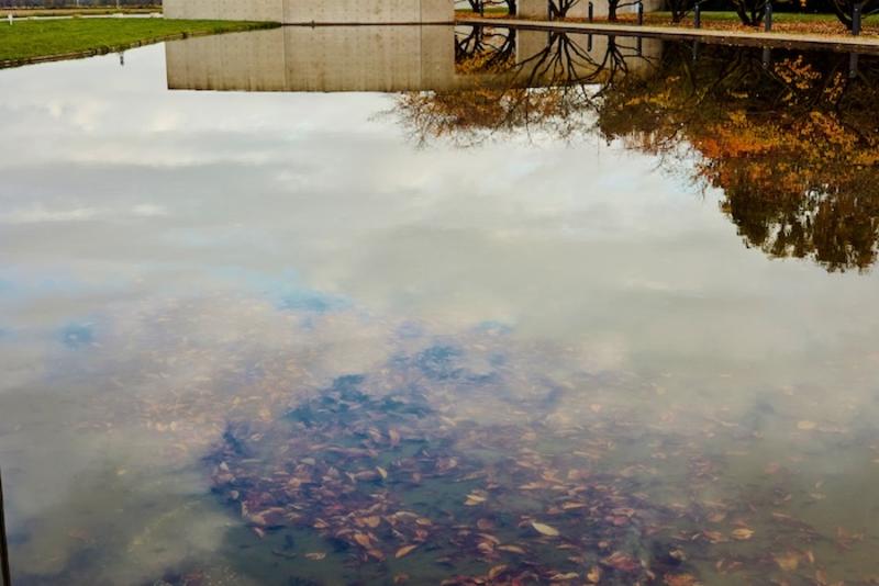 ein bisschen besser: Herbst der Reformen