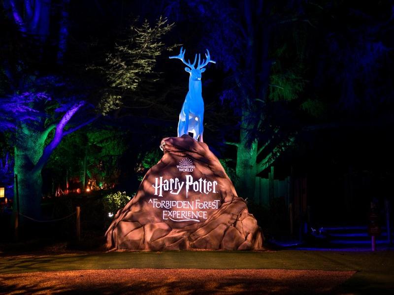 Dr. J. Edward Les: Efforts to halt Harry Potter event expose the absurdity of trans activism