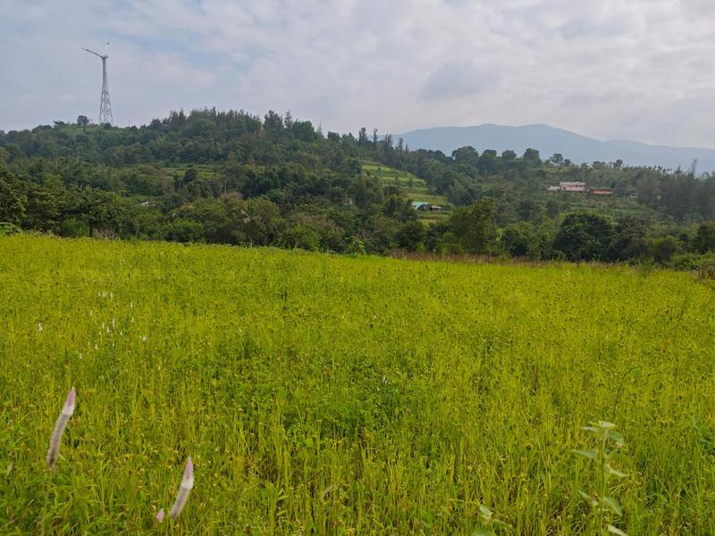 How land restoration could address malnutrition among India’s Indigenous families