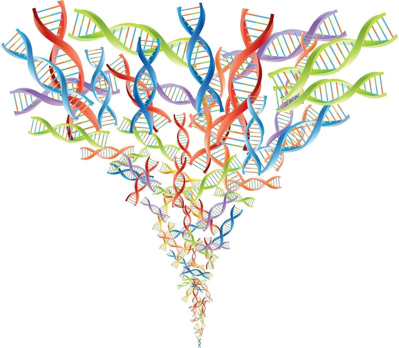 1 gene, 1 disease no more – acknowledging the full complexity of genetics could improve and personalize medicine