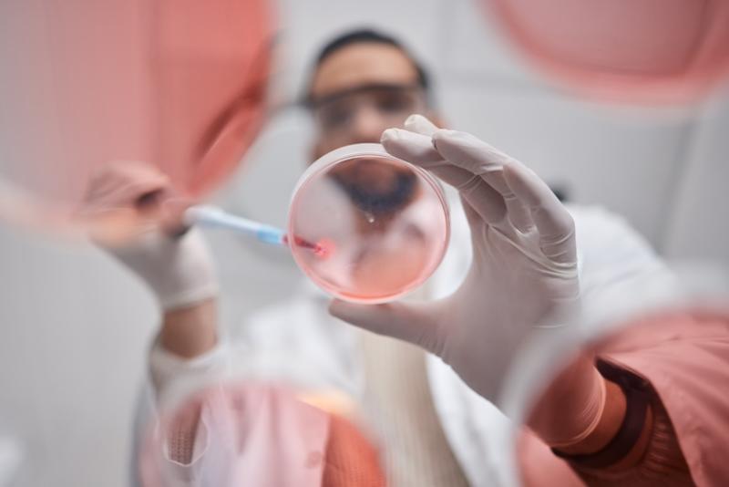 Le secteur pharmaceutique en hausse de 40%