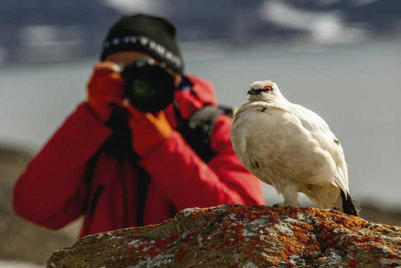 The remarkable rise of eBird – the world’s biggest citizen science project