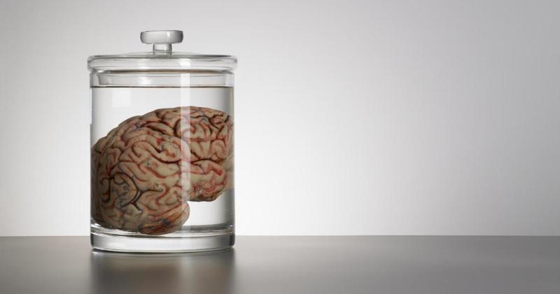 Growing brains in labs to power computers... this is like a horror movie