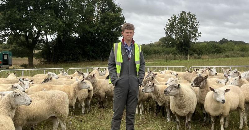 Award-winning teenage farmer hailed as a 'shining example' for industry's future