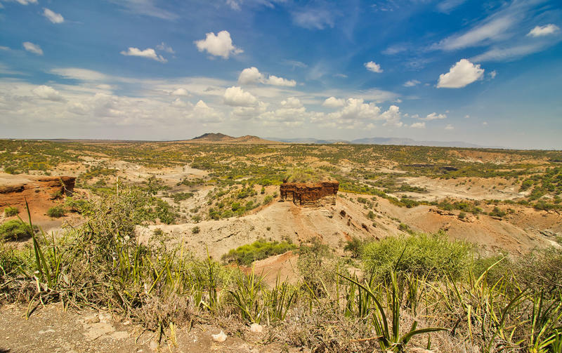 Wild life /					 													 						The search for a Kenyan Stonehenge