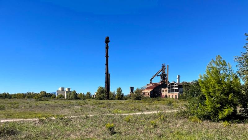 Lâex Ilva di Napoli Ã¨ diventata una riserva:Â lepri, cicogne, falchi e volpi