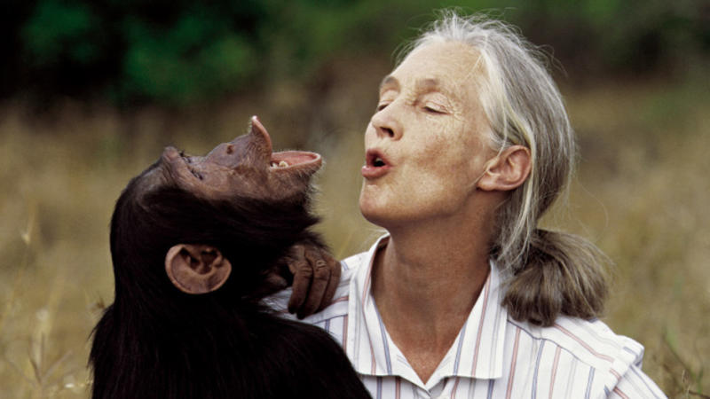 Jane Goodall, una inspiración para la esperanza