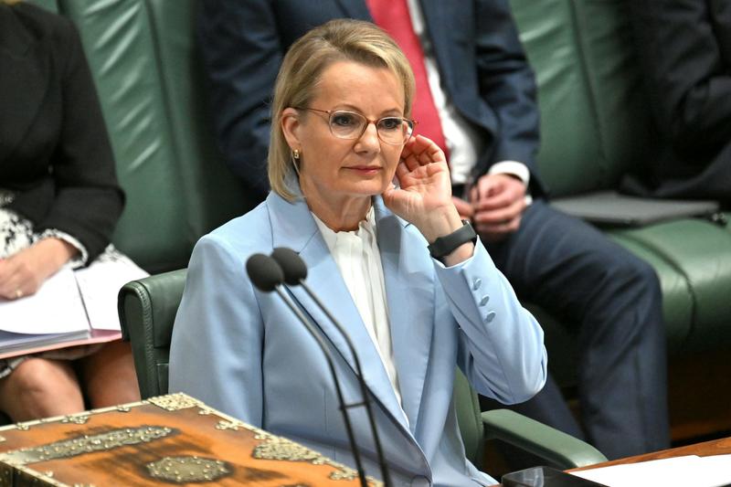 Competence and vision: how to be a successful opposition
