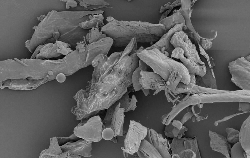 David Sovka: Ashes are ashes but dust is gross
