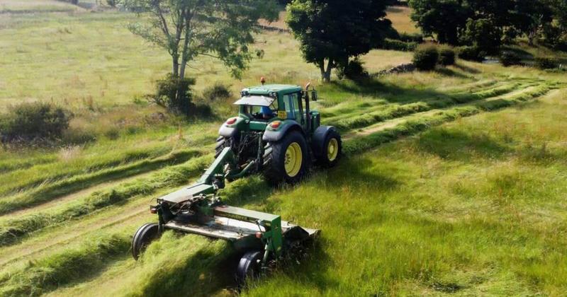 Supports available to you if you’re a farmer