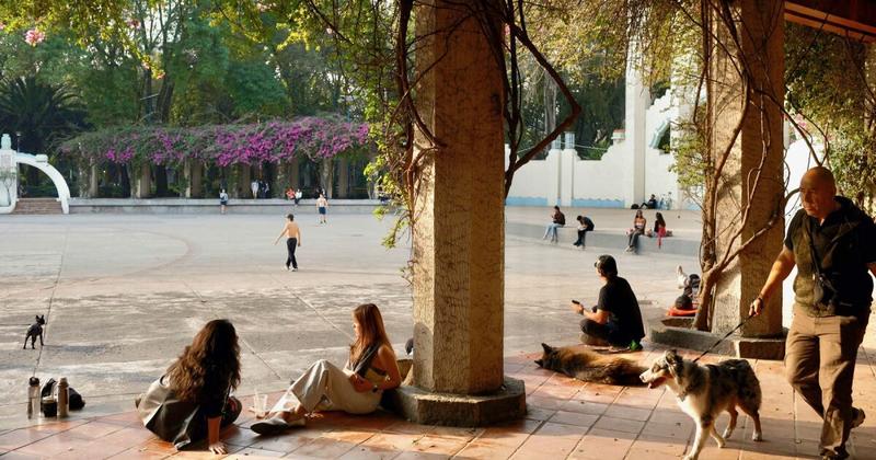 Del dato a la experiencia. Una mirada más genuina al impacto social