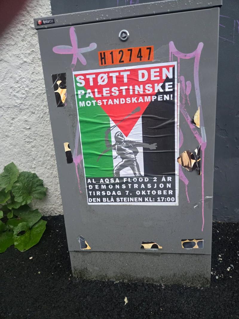 Grotesk demonstrasjon i Bergen Grotesk demonstrasjon i Bergen