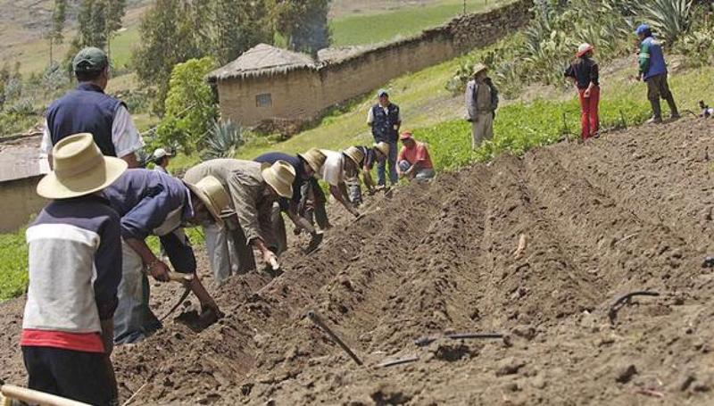 Mala política, profundización de brechas y el rostro de la pobreza rural (parte II)
