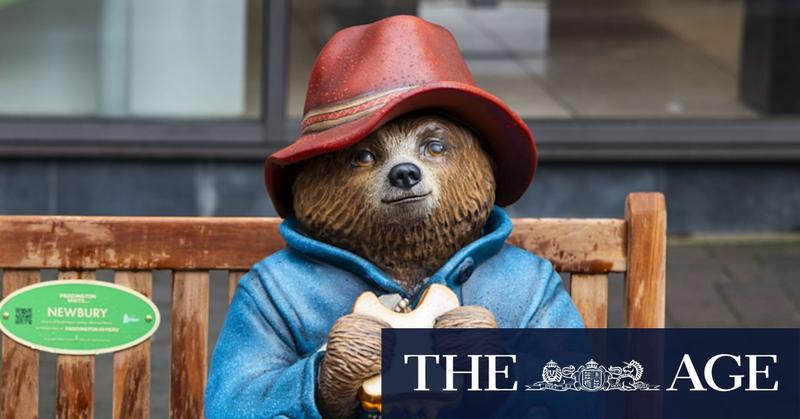 In a big cruel world, little Paddington Bear stands tall