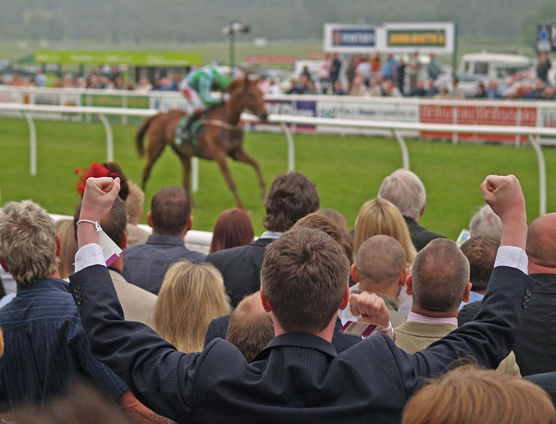 Gambling tax hikes could kill British racing Gambling tax hikes could kill British racing