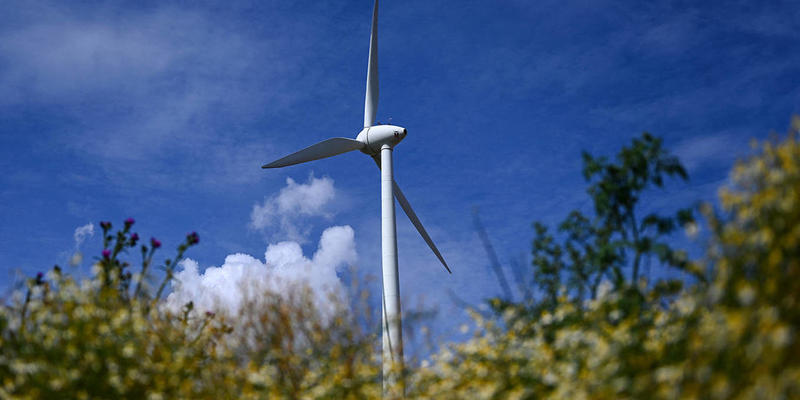 Windmill Wars
