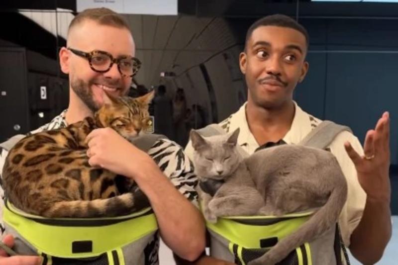 Why you shouldn’t travel with your pets Why you shouldn’t travel with your pets