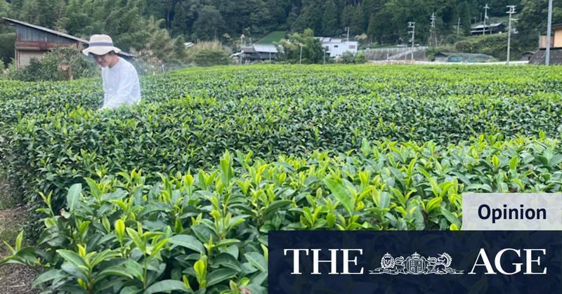 This green drink is always sold out. I visited Japan to find out why