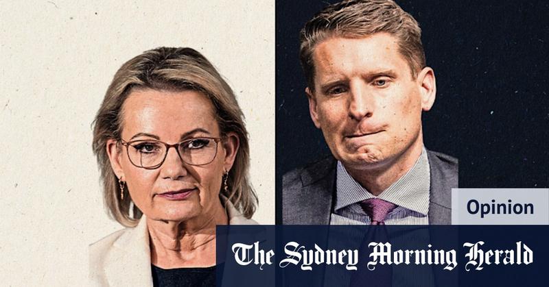 Sussan Ley will be challenged, but Libs may resist this Hastie elevation