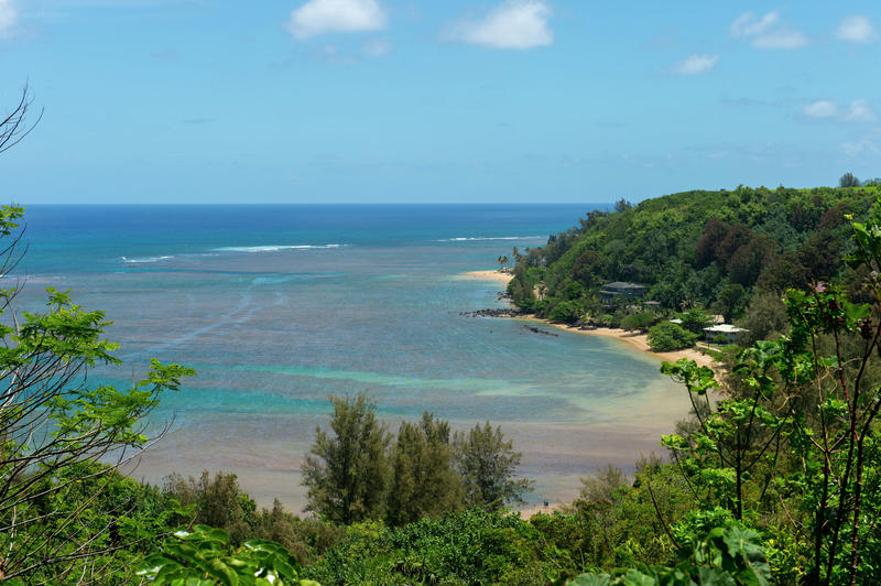 California man dies swimming off Hawaii beach